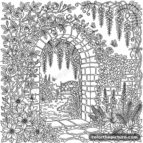 Coloriage Jardin secret avec arche et rosiers grimpants