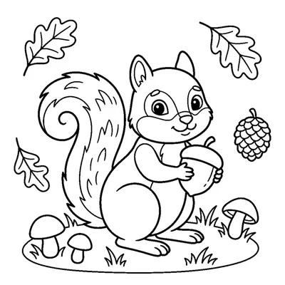 Eichhörnchen mit einer Eichel