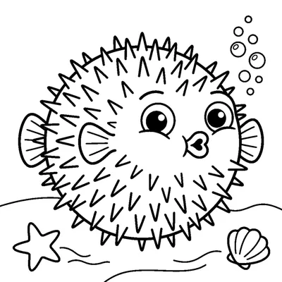 A pufferfish puffed up into a round spiky ball