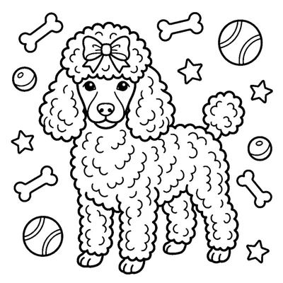 Caniche con un Lazo Elegante