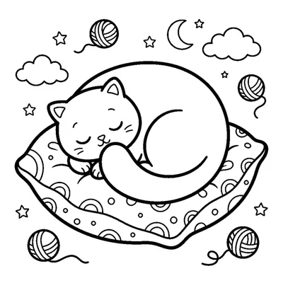 Gatto Tondo Addormentato su un Cuscino