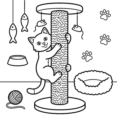 Gato a Trepar num Arranhador Alto