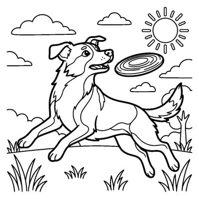 Cão a Saltar para Apanhar um Frisbee