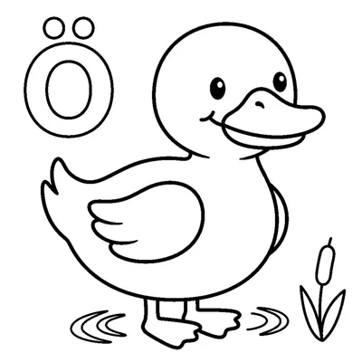 Letter Ö and a cute Duck