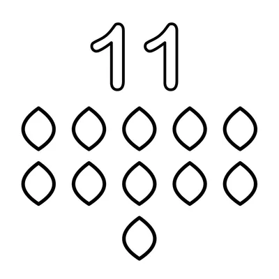 Número 11 e 11 folhinhas