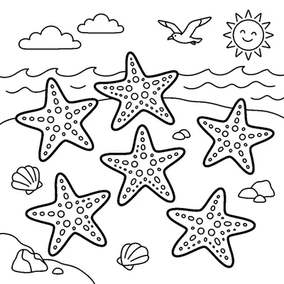 Cuenta las 6 estrellas de mar en la orilla