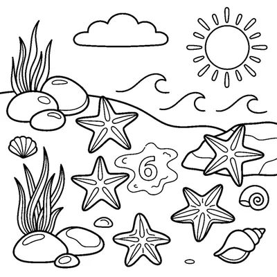 Count the 6 starfish at the seaside
