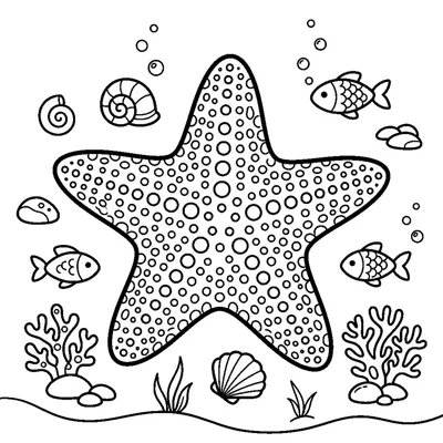 Étoile de mer sur le sable