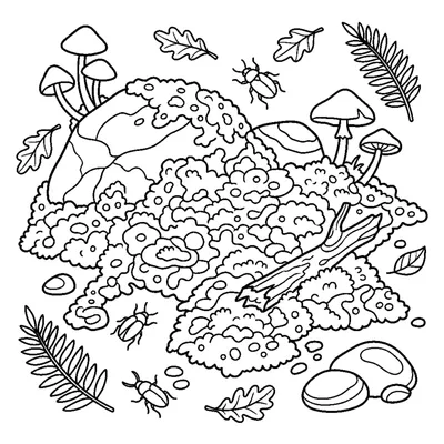 Chão da floresta com musgo