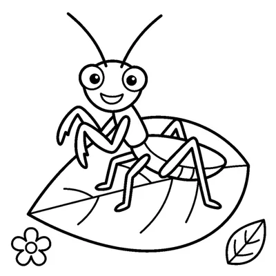 Cute praying mantis smiling on a leaf