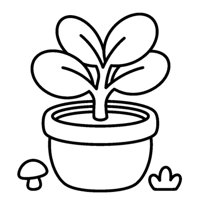 Jeune plante aux feuilles dodues dans un petit pot