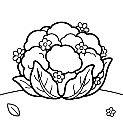 Couve-flor gordinha com florzinhas brancas